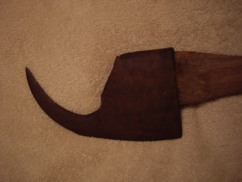 IMGP1888.jpg
