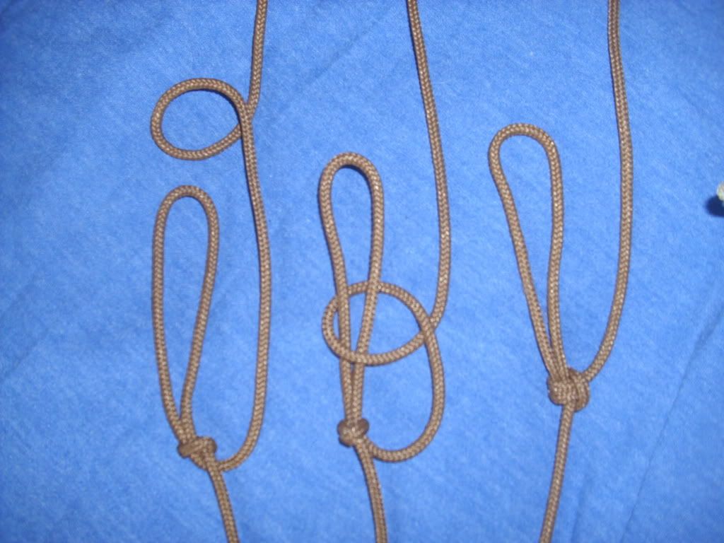 HPIM0670.jpg