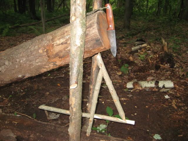 survivaltrip216.jpg