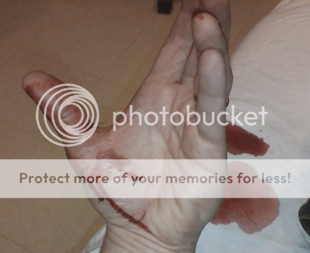 20110329_bk14_bite_01.jpg