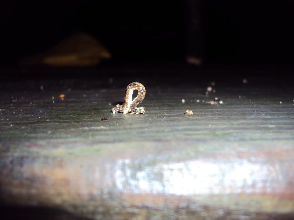 DSC00620.jpg