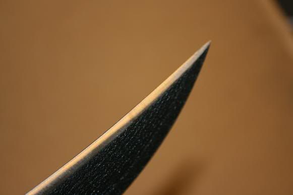 busse011.jpg