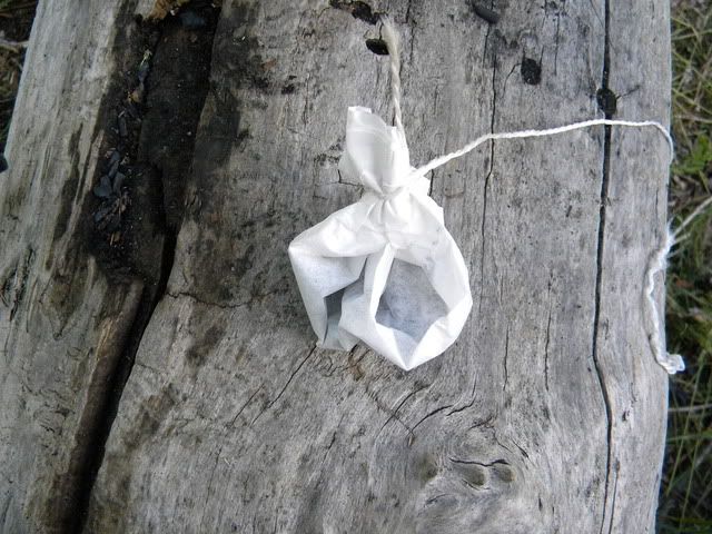 DSCN3971.jpg