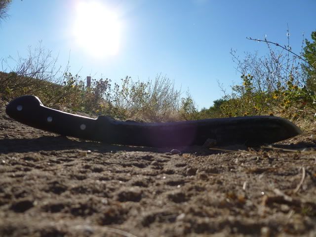 P1010038.jpg