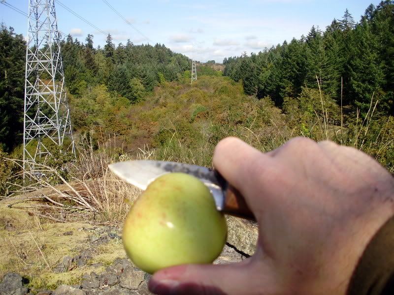 PA080014.jpg