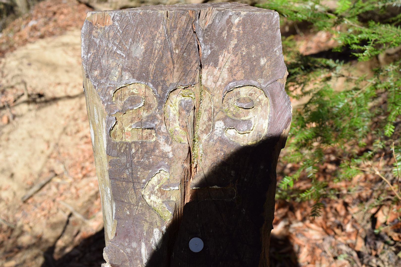 DSC_0032_zpstwuqatw4.jpg