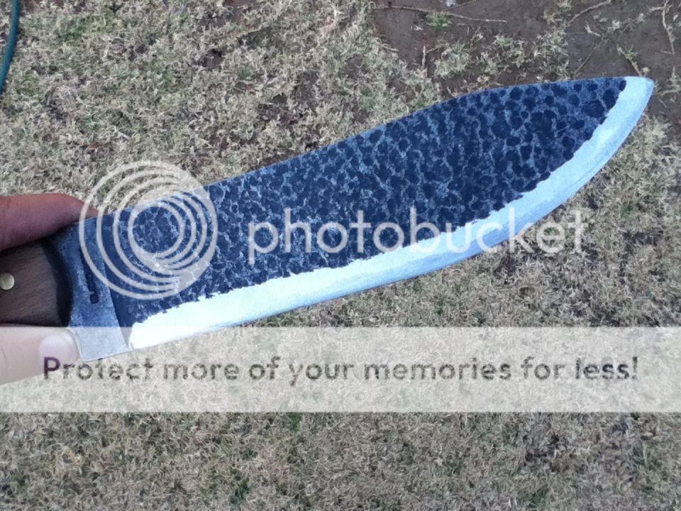 photo-6-6.jpg