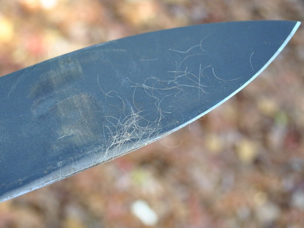 DSC_4887.jpg