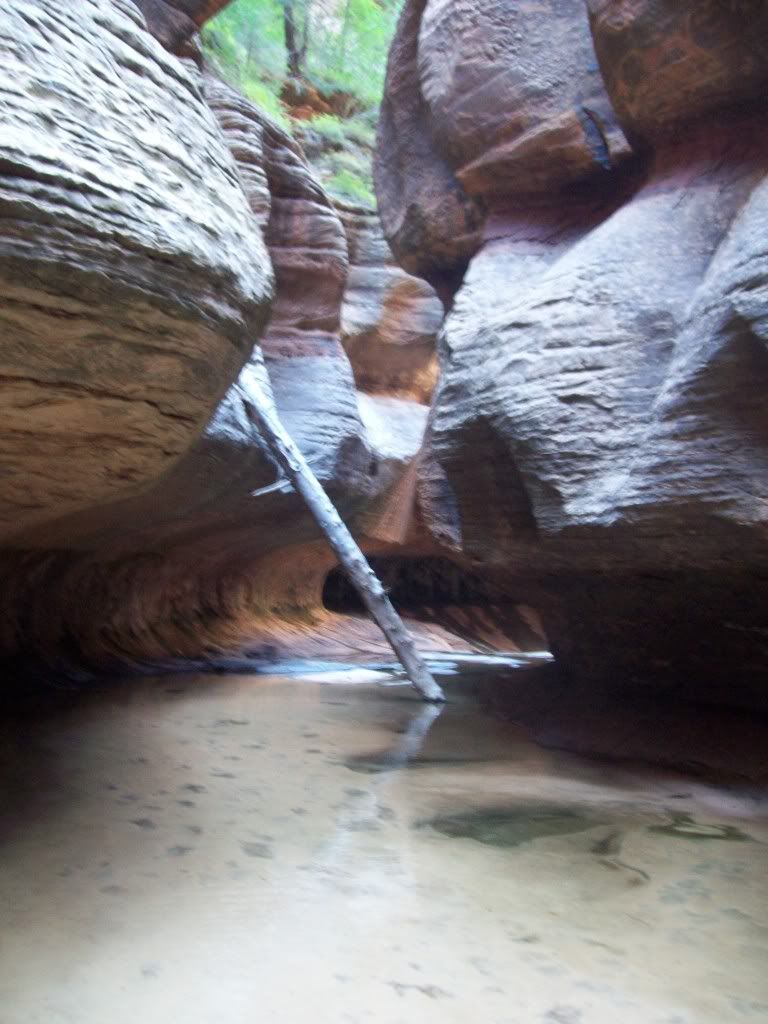 100_1691.jpg