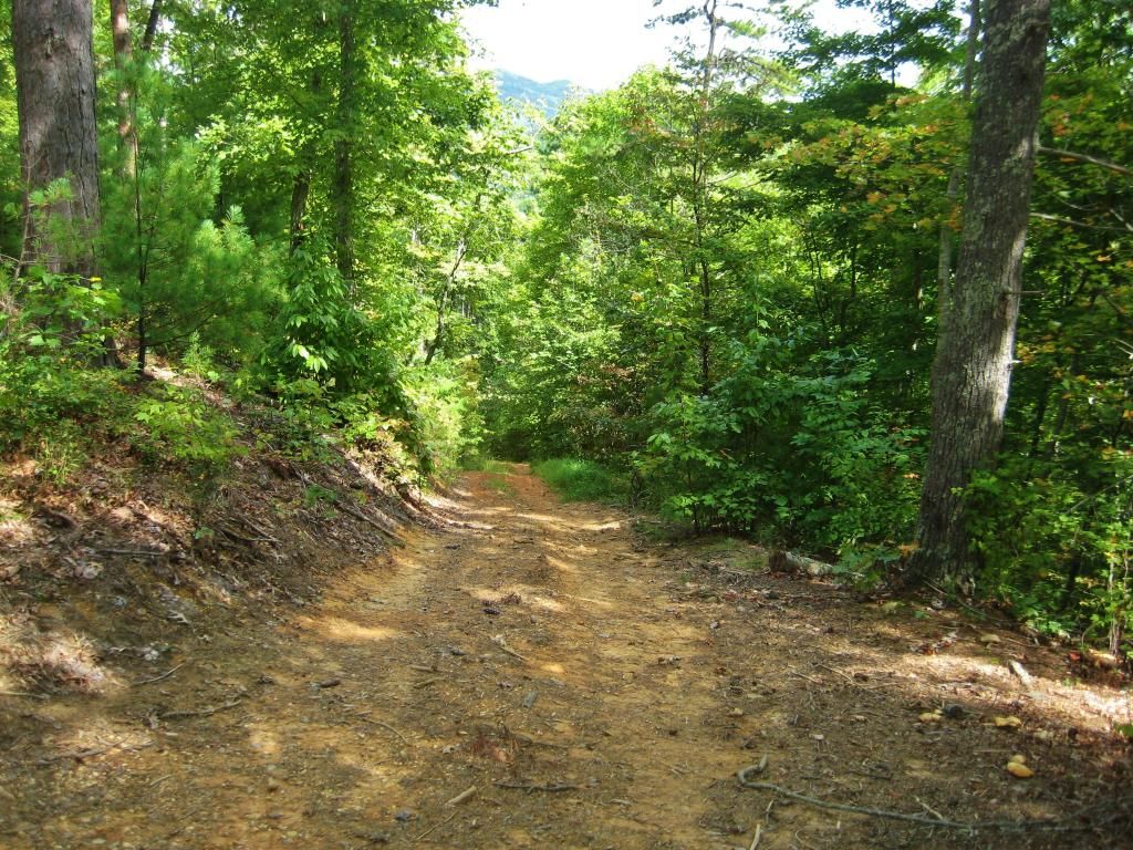 IMG_4559.jpg