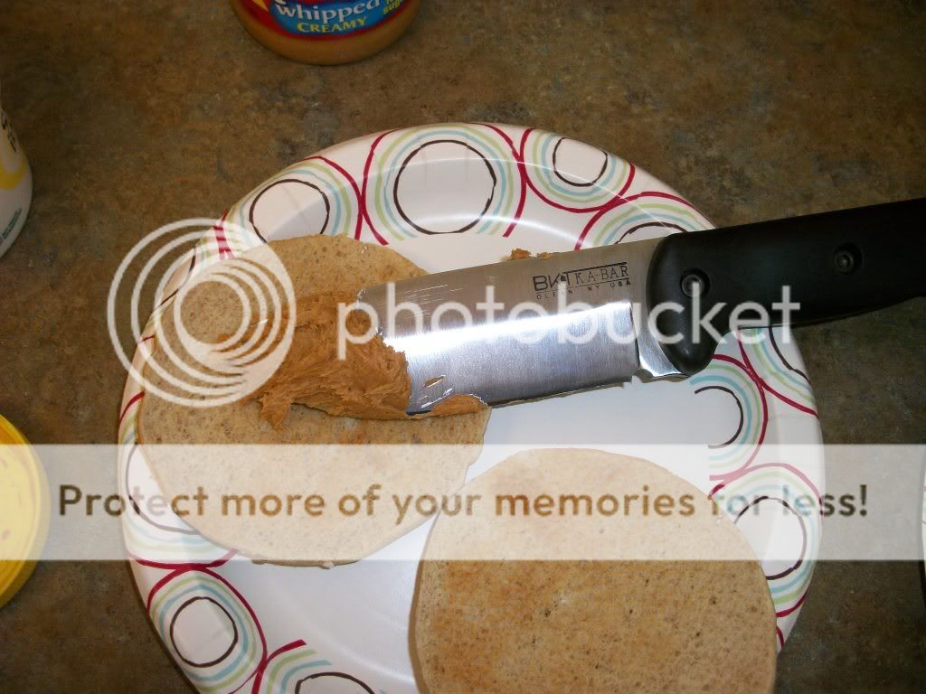 100_1733.jpg