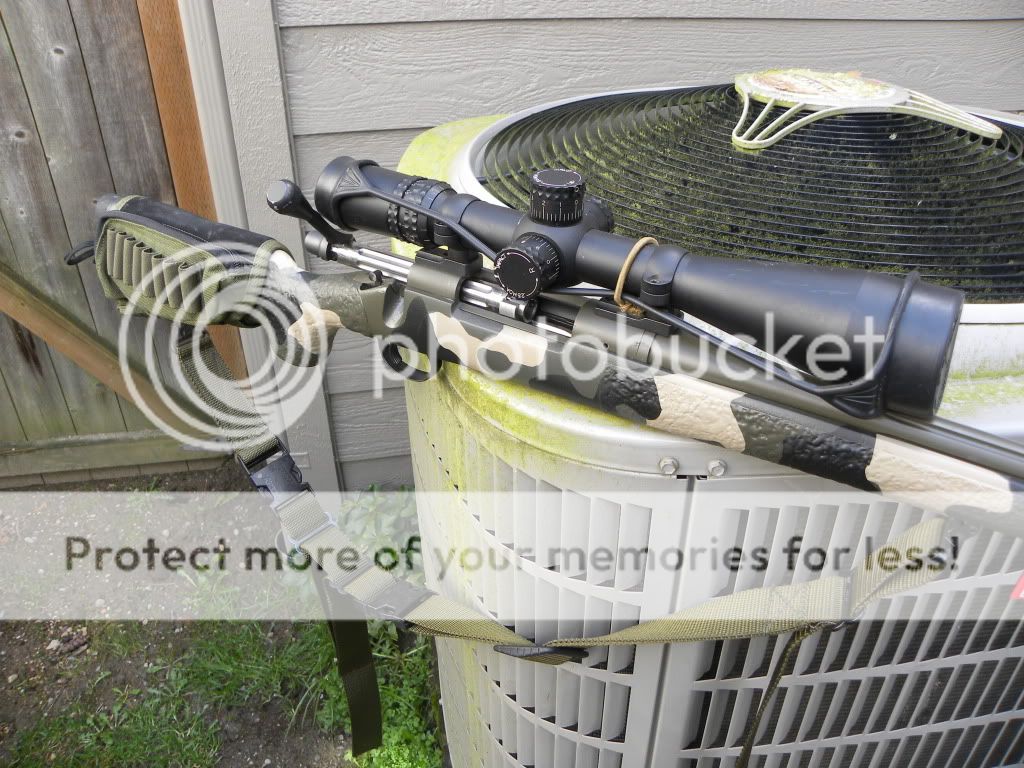 DSCN1534.jpg