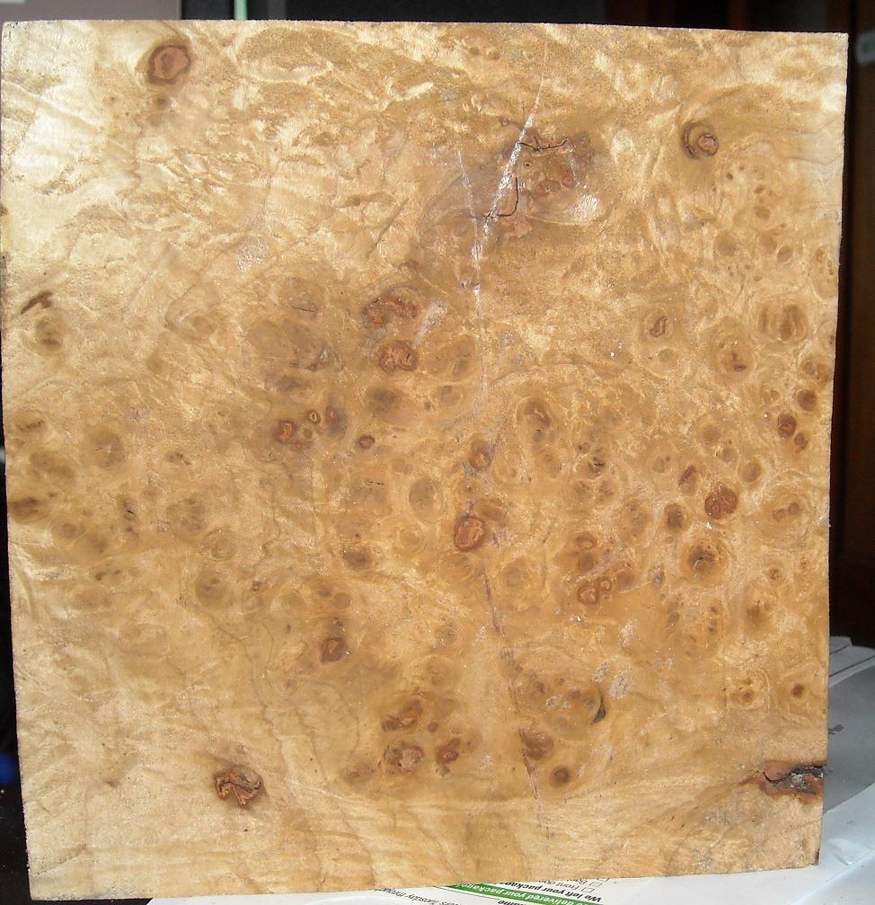 burl2.jpg