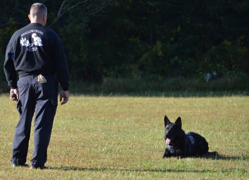 napwda_2014_k9turbo.jpg