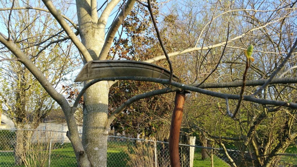20150411_191630.jpg