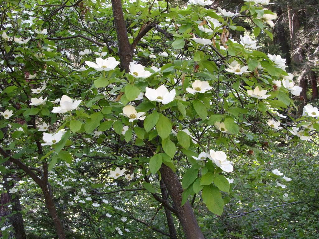 IMG_1301.jpg