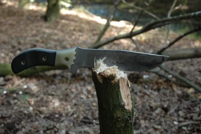 Afbeelding094.jpg