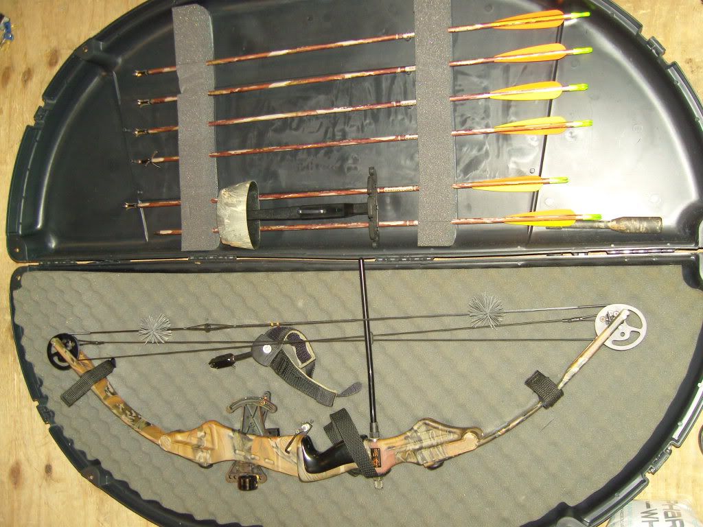 SN200168.jpg