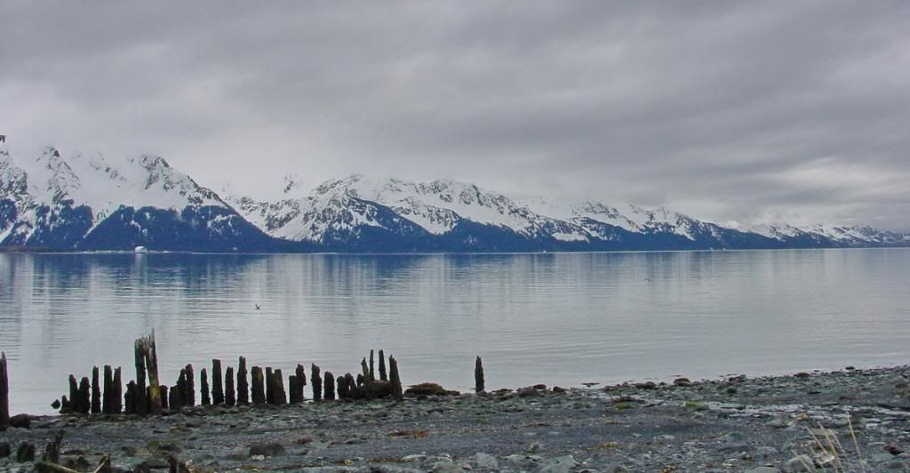 2004-04-2917-20-25_resize.jpg