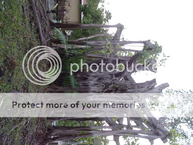 DSC08654.jpg