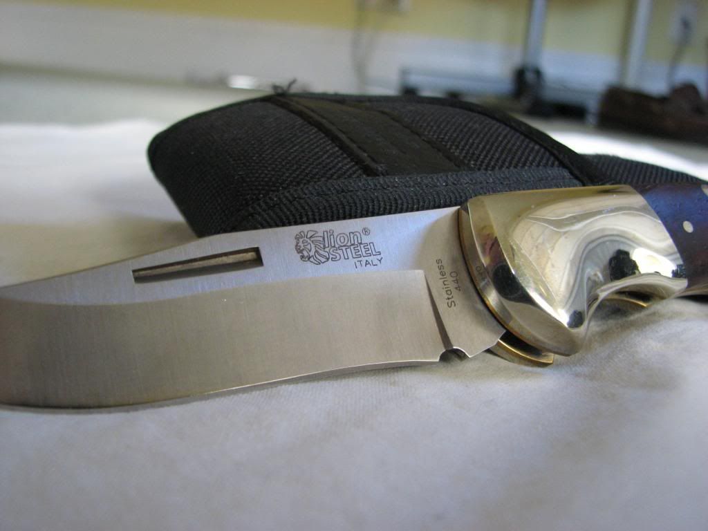 lion_steel009.jpg