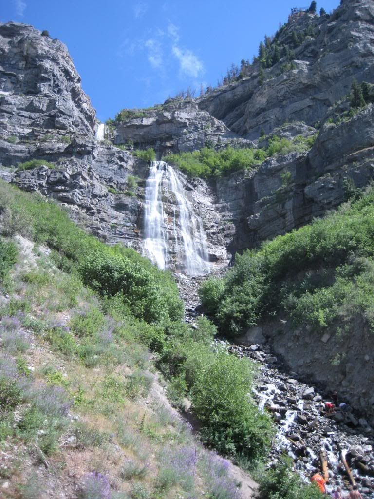 IMG_3163.jpg