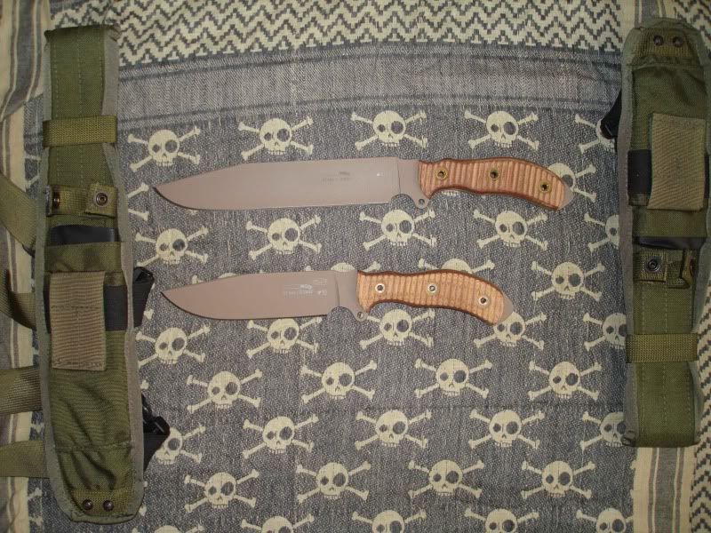 Busse1.jpg