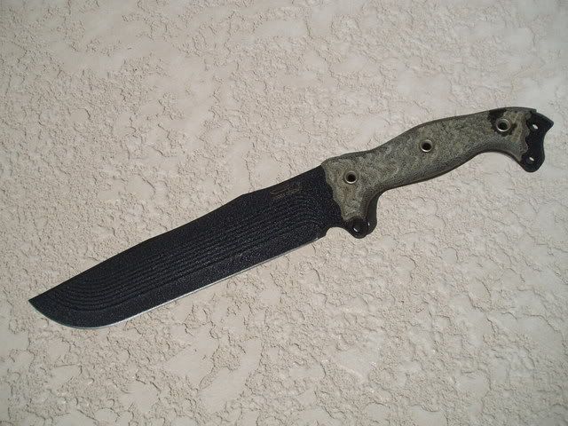 bussesale0408064.jpg