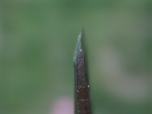 PICT0454.jpg