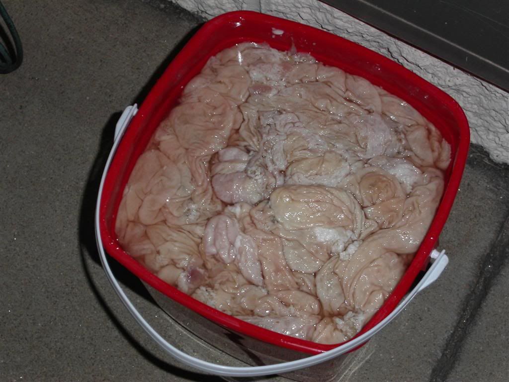 chitlins.jpg