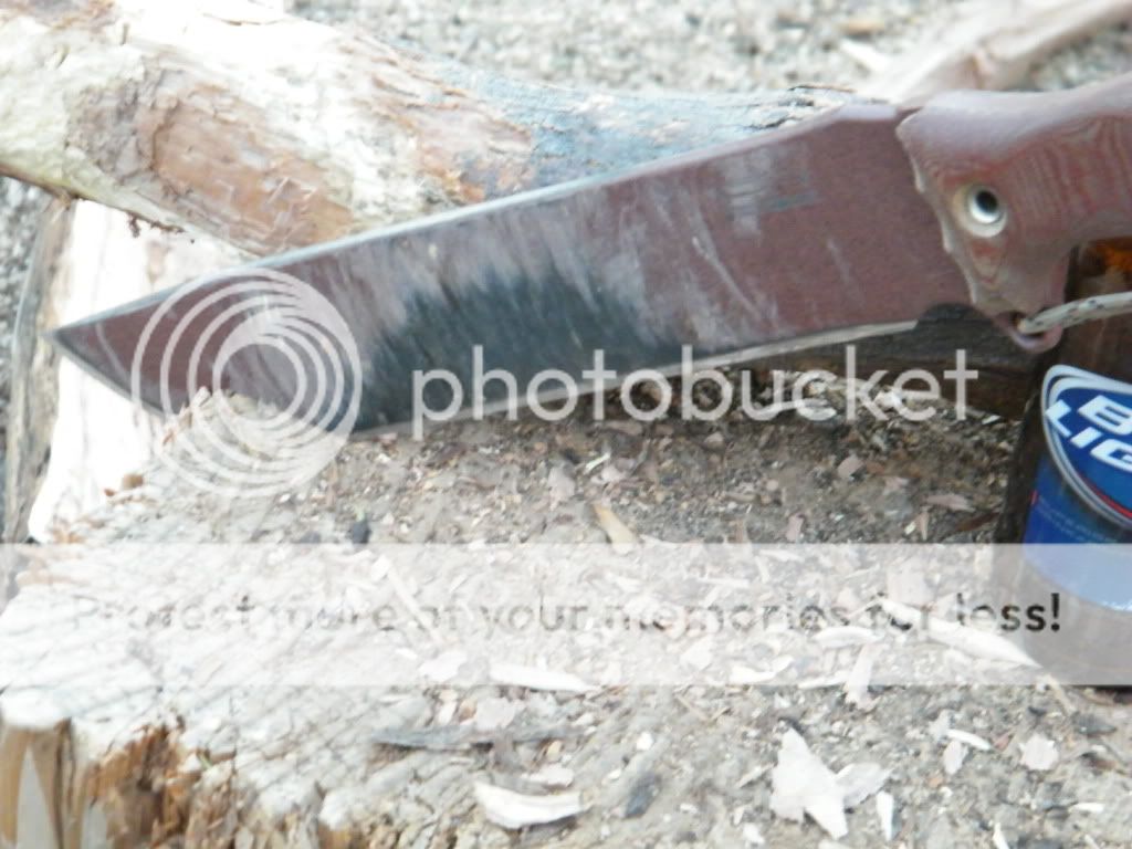 DSCF2724.jpg