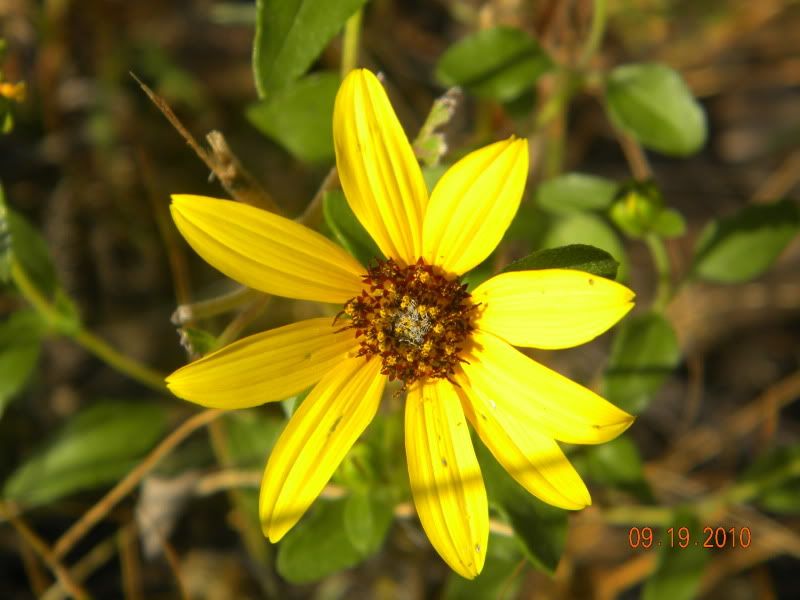 DSCN2858.jpg