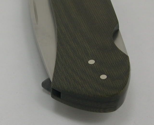 DSCN2486.jpg