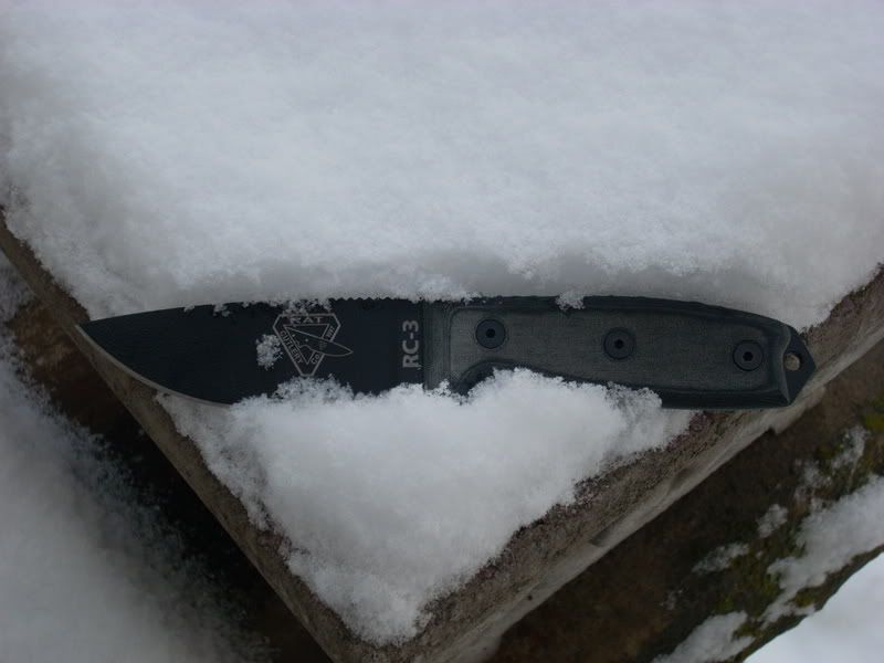 DSCN1238.jpg
