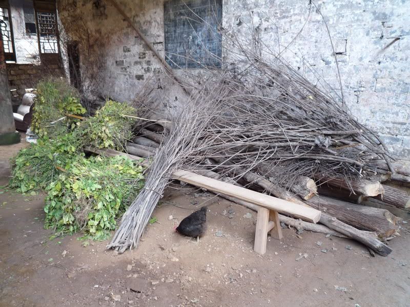 P1000897.jpg
