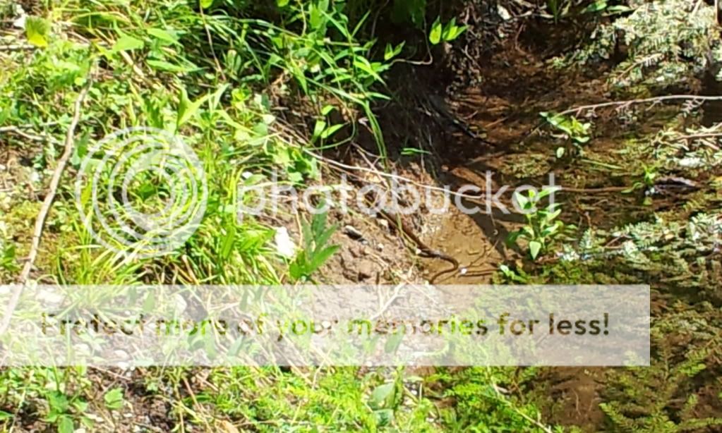 2012-05-25145438.jpg