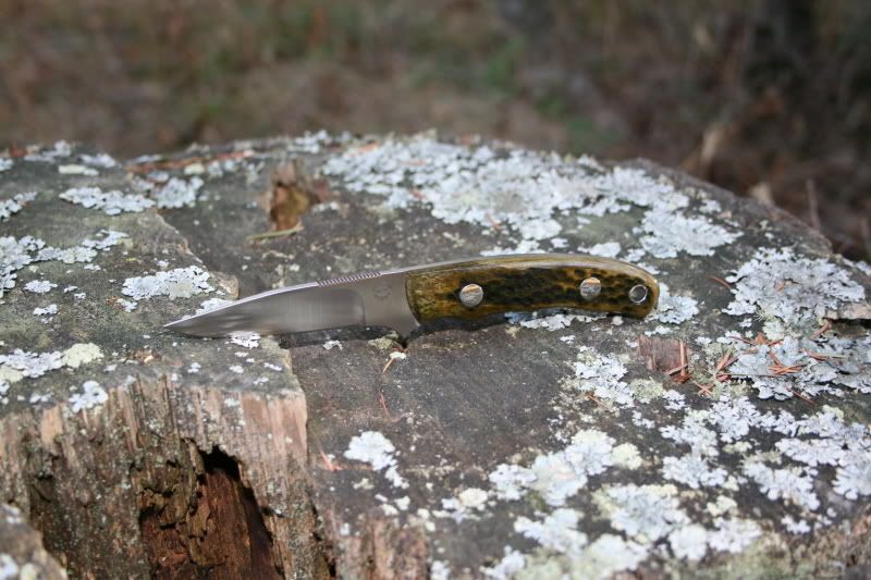 Whittler1.jpg