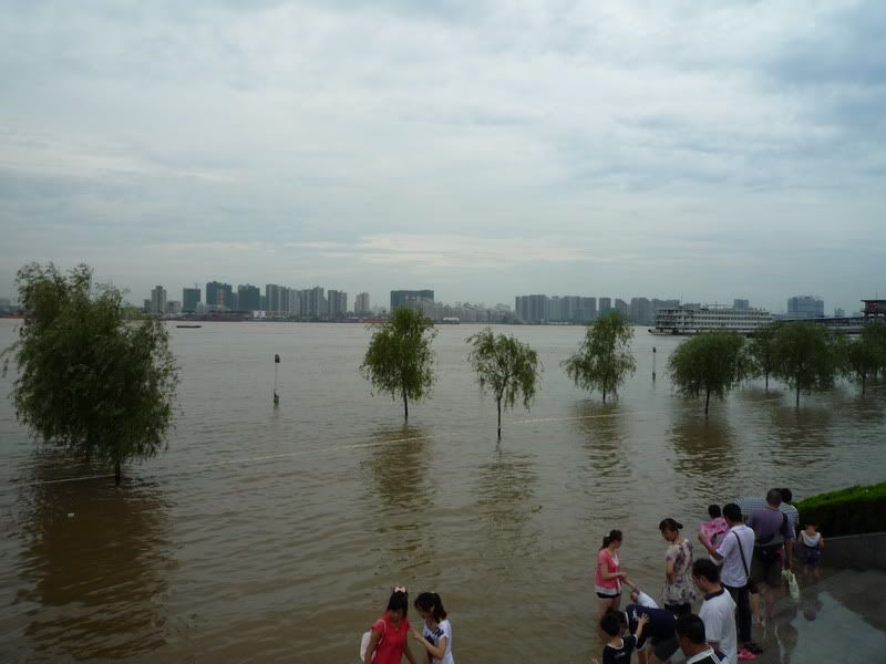 P1070851.jpg