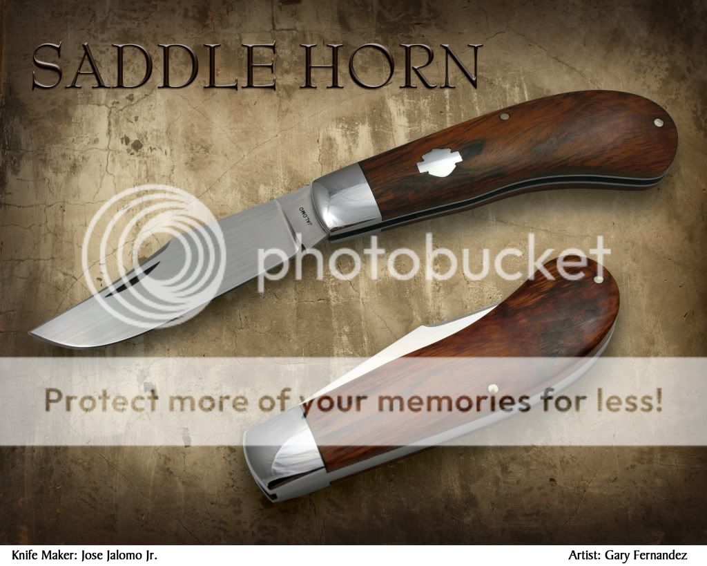 BikeSaddleHorn.jpg