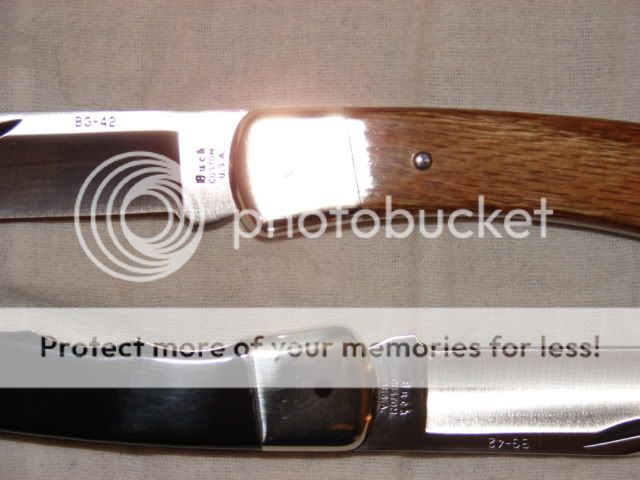 DSC00966.jpg