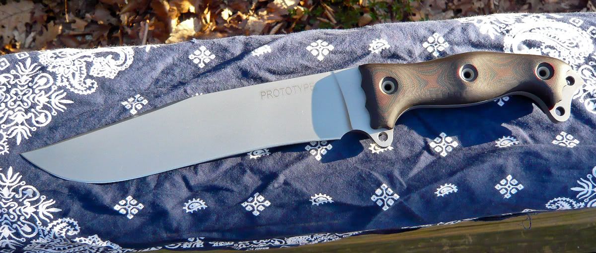 Busse_FBMBowieProto1.jpg