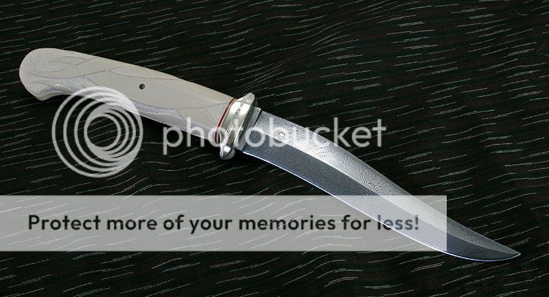 IMG_1011_zps31042249.jpg
