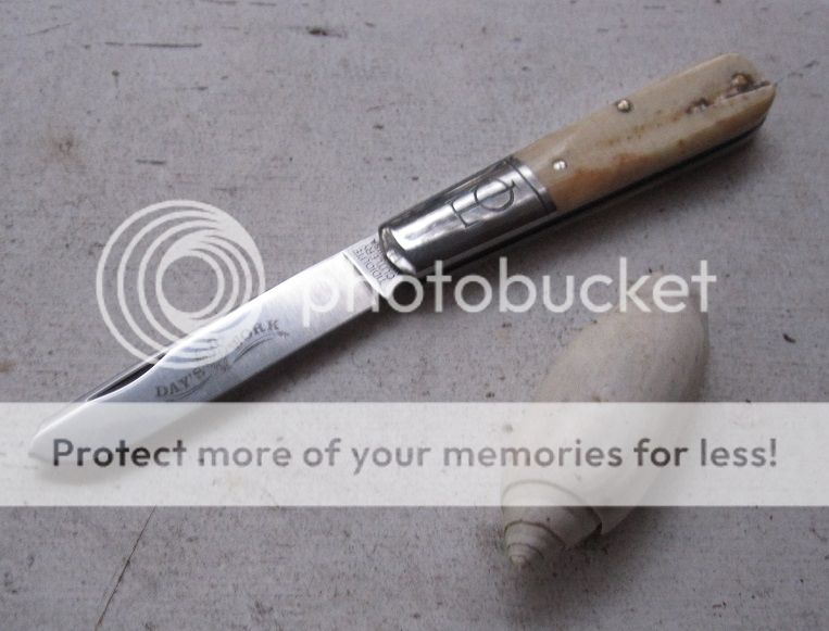 IMG_3691_zpsiy5mipnp.jpg~original