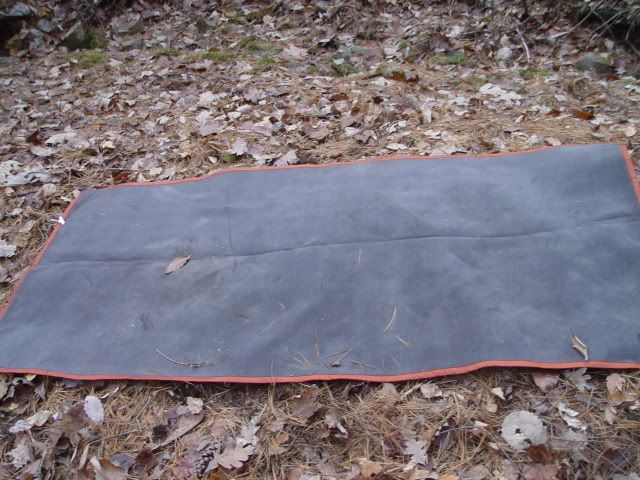DSC03603.jpg