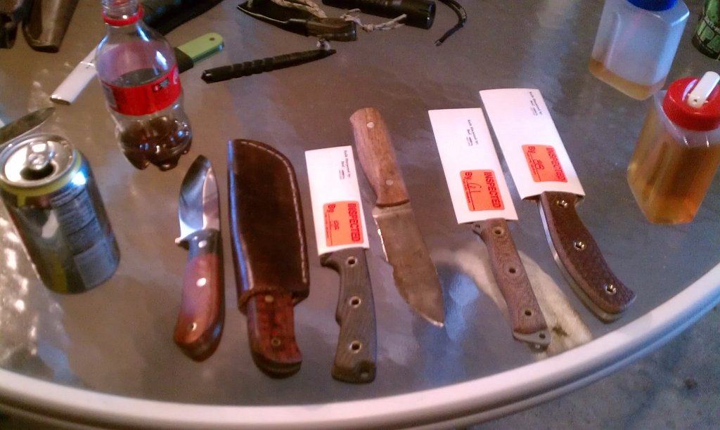 IMAG0219.jpg