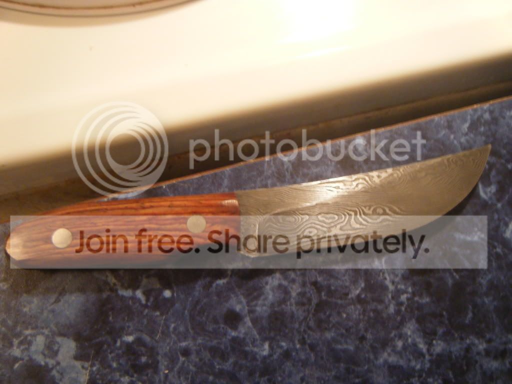 DSCF0368.jpg