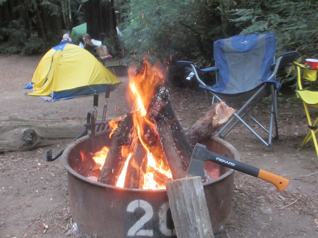 IMG_1316.jpg