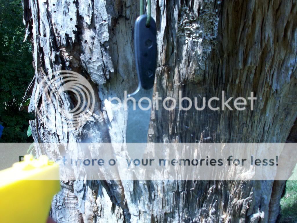 100_3248.jpg