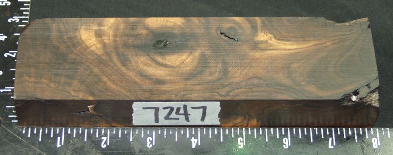 7247a.jpg