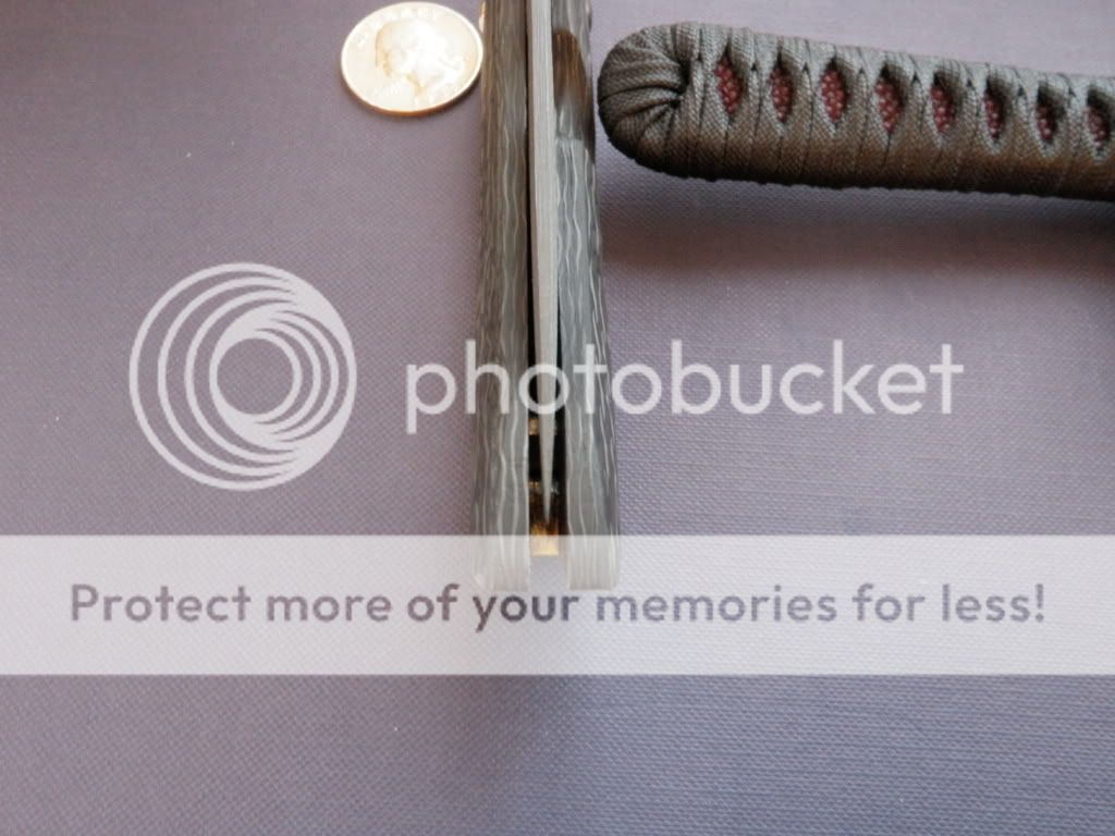 PC260250.jpg